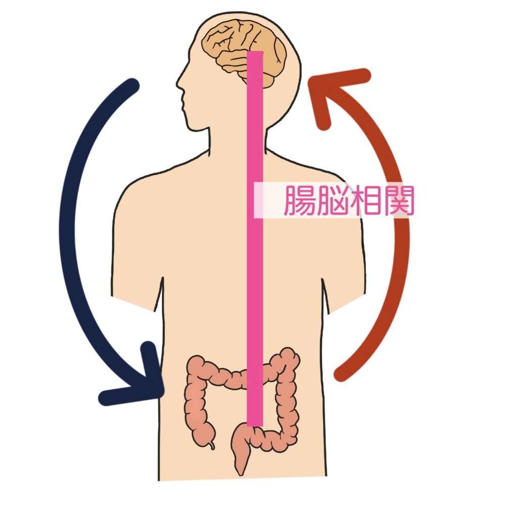 腸脳相関